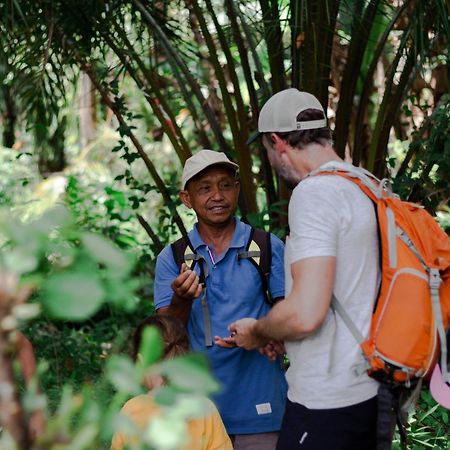 Ambow Homestay Jungle Trekking & Village Tour بوكيت لاوانج المظهر الخارجي الصورة
