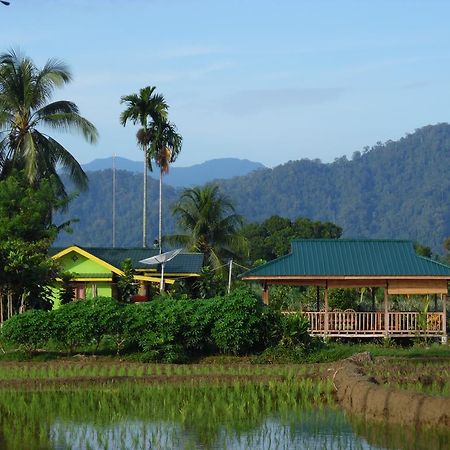 Ambow Homestay Jungle Trekking & Village Tour بوكيت لاوانج المظهر الخارجي الصورة