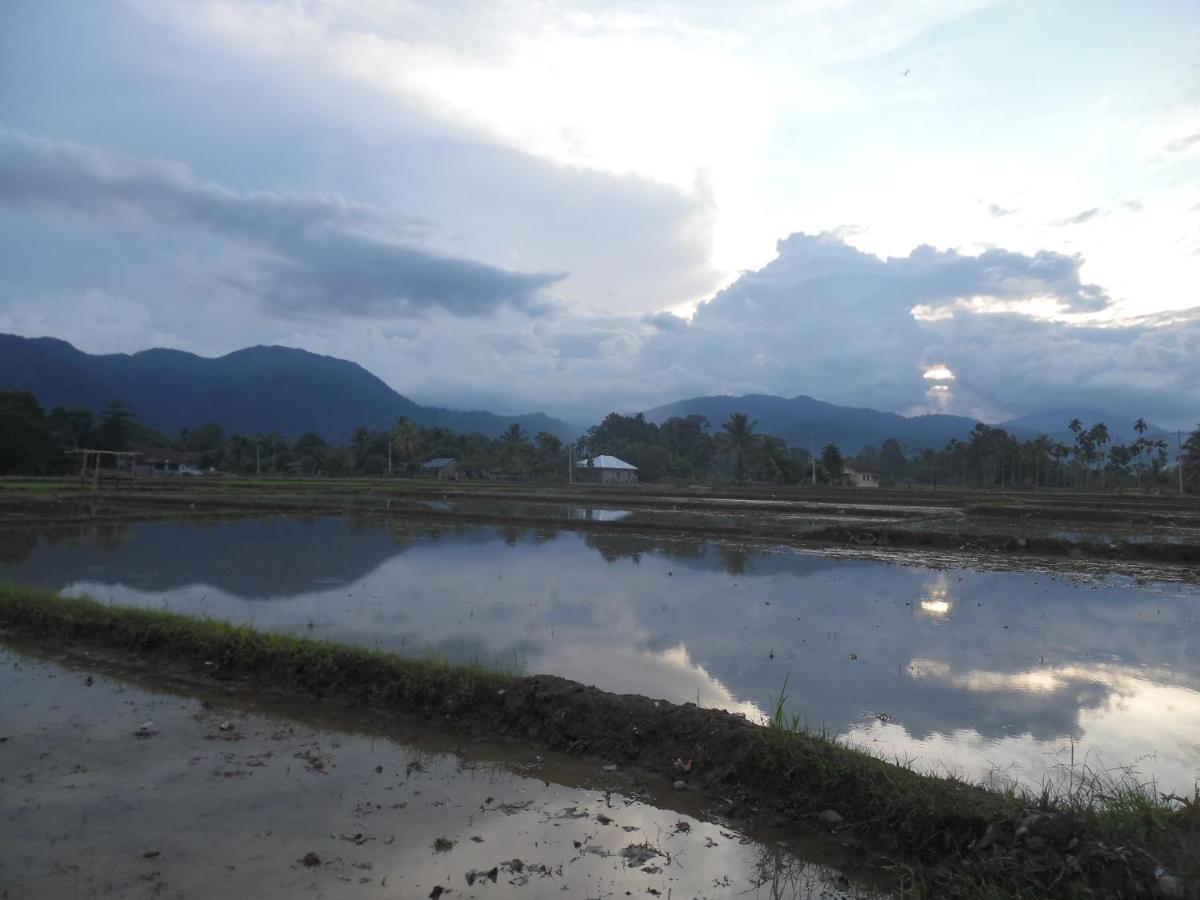 Ambow Homestay Jungle Trekking & Village Tour بوكيت لاوانج المظهر الخارجي الصورة