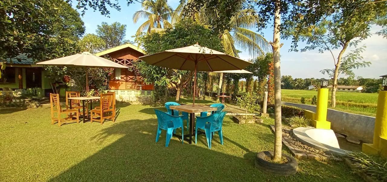 Ambow Homestay Jungle Trekking & Village Tour بوكيت لاوانج المظهر الخارجي الصورة