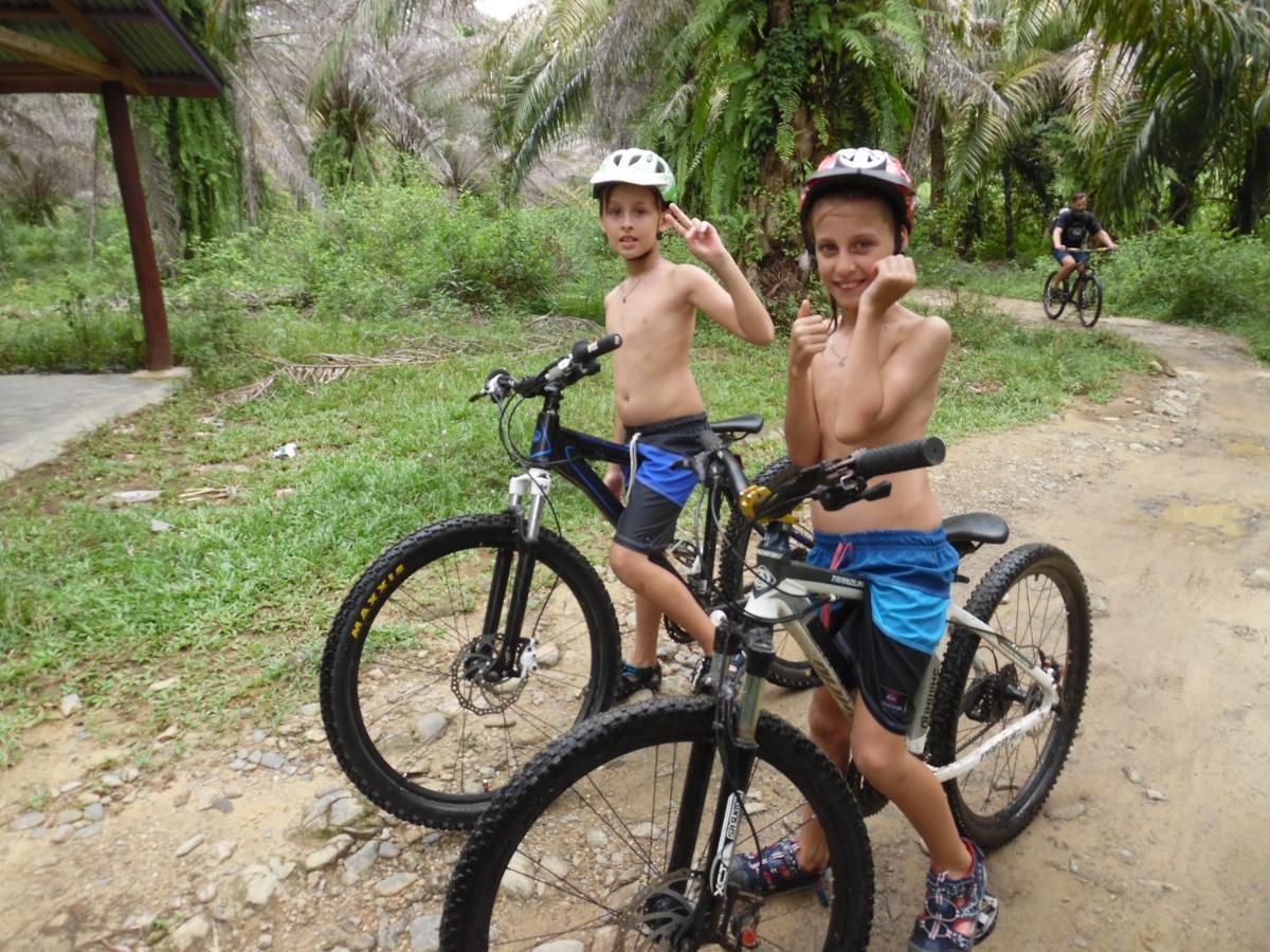 Ambow Homestay Jungle Trekking & Village Tour بوكيت لاوانج المظهر الخارجي الصورة