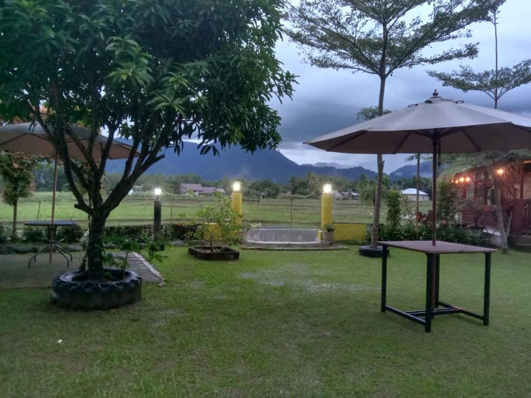 Ambow Homestay Jungle Trekking & Village Tour بوكيت لاوانج المظهر الخارجي الصورة