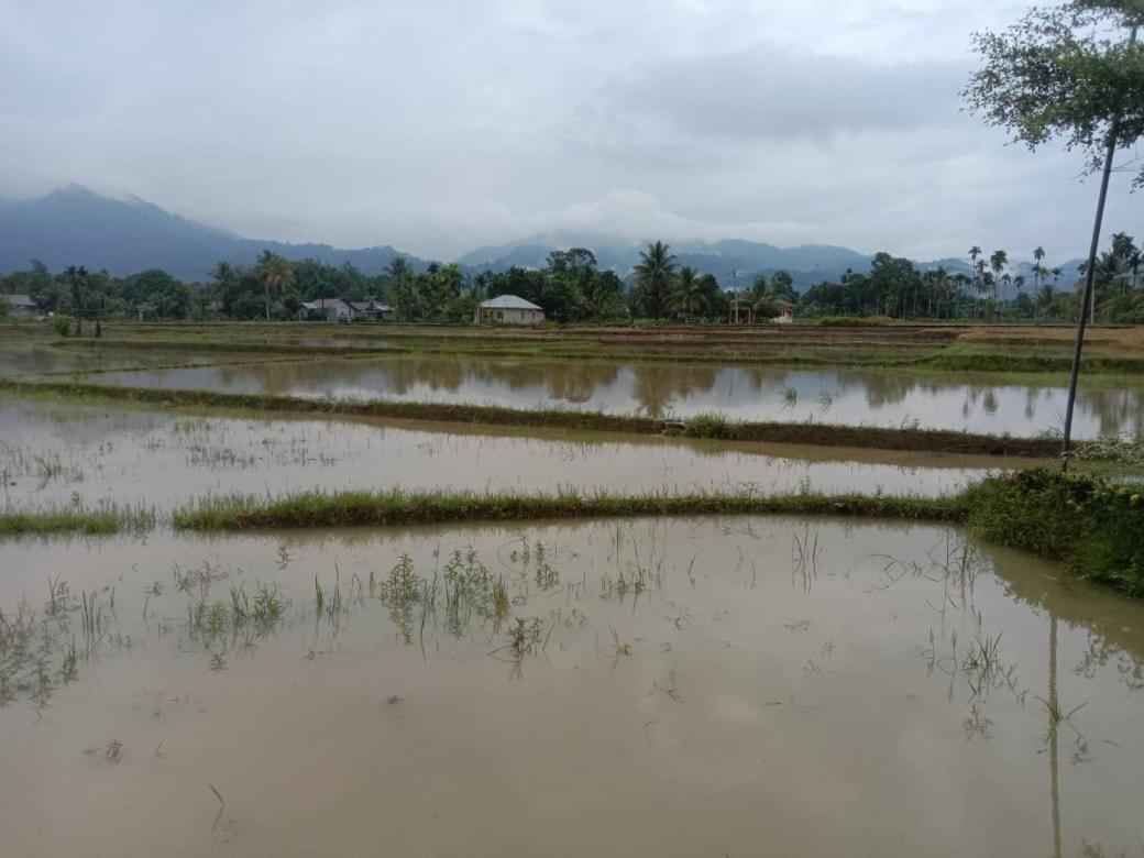 Ambow Homestay Jungle Trekking & Village Tour بوكيت لاوانج المظهر الخارجي الصورة
