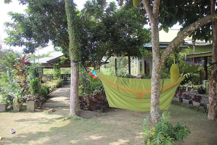 Ambow Homestay Jungle Trekking & Village Tour بوكيت لاوانج المظهر الخارجي الصورة