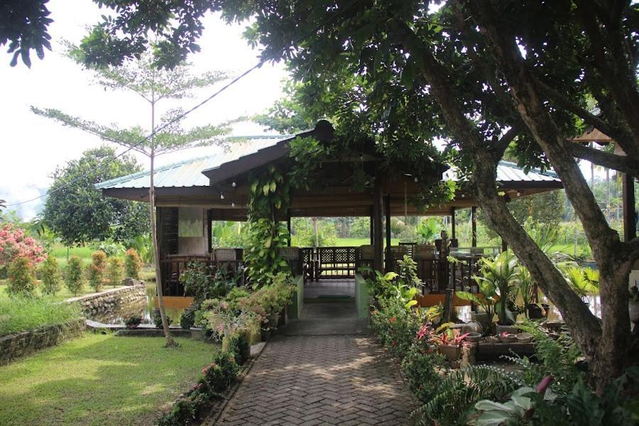 Ambow Homestay Jungle Trekking & Village Tour بوكيت لاوانج المظهر الخارجي الصورة