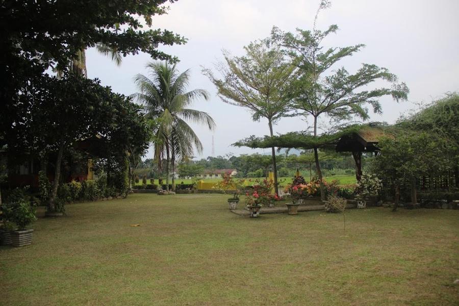 Ambow Homestay Jungle Trekking & Village Tour بوكيت لاوانج المظهر الخارجي الصورة