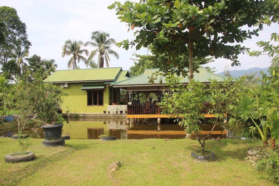 Ambow Homestay Jungle Trekking & Village Tour بوكيت لاوانج المظهر الخارجي الصورة