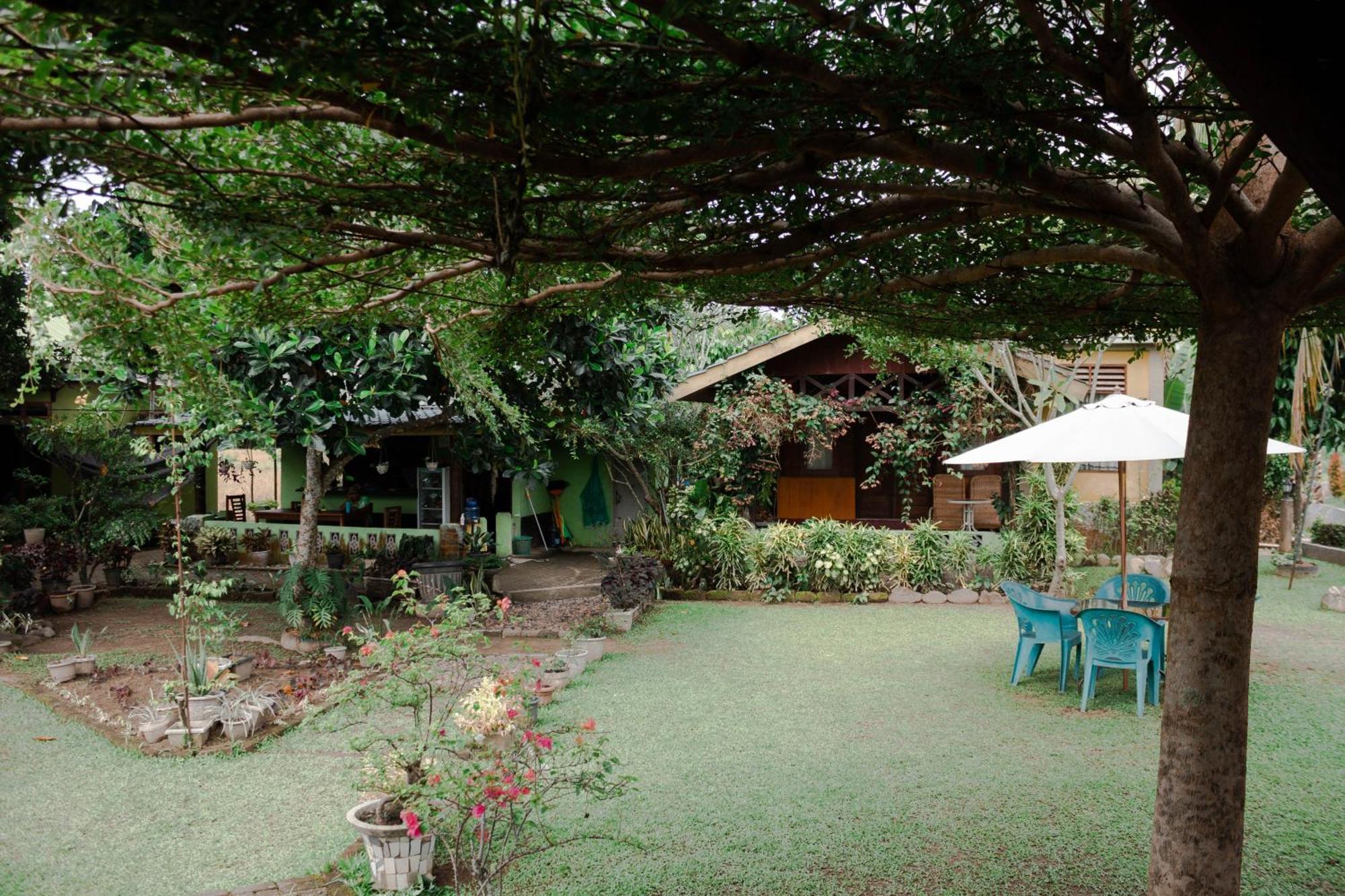 Ambow Homestay Jungle Trekking & Village Tour بوكيت لاوانج المظهر الخارجي الصورة