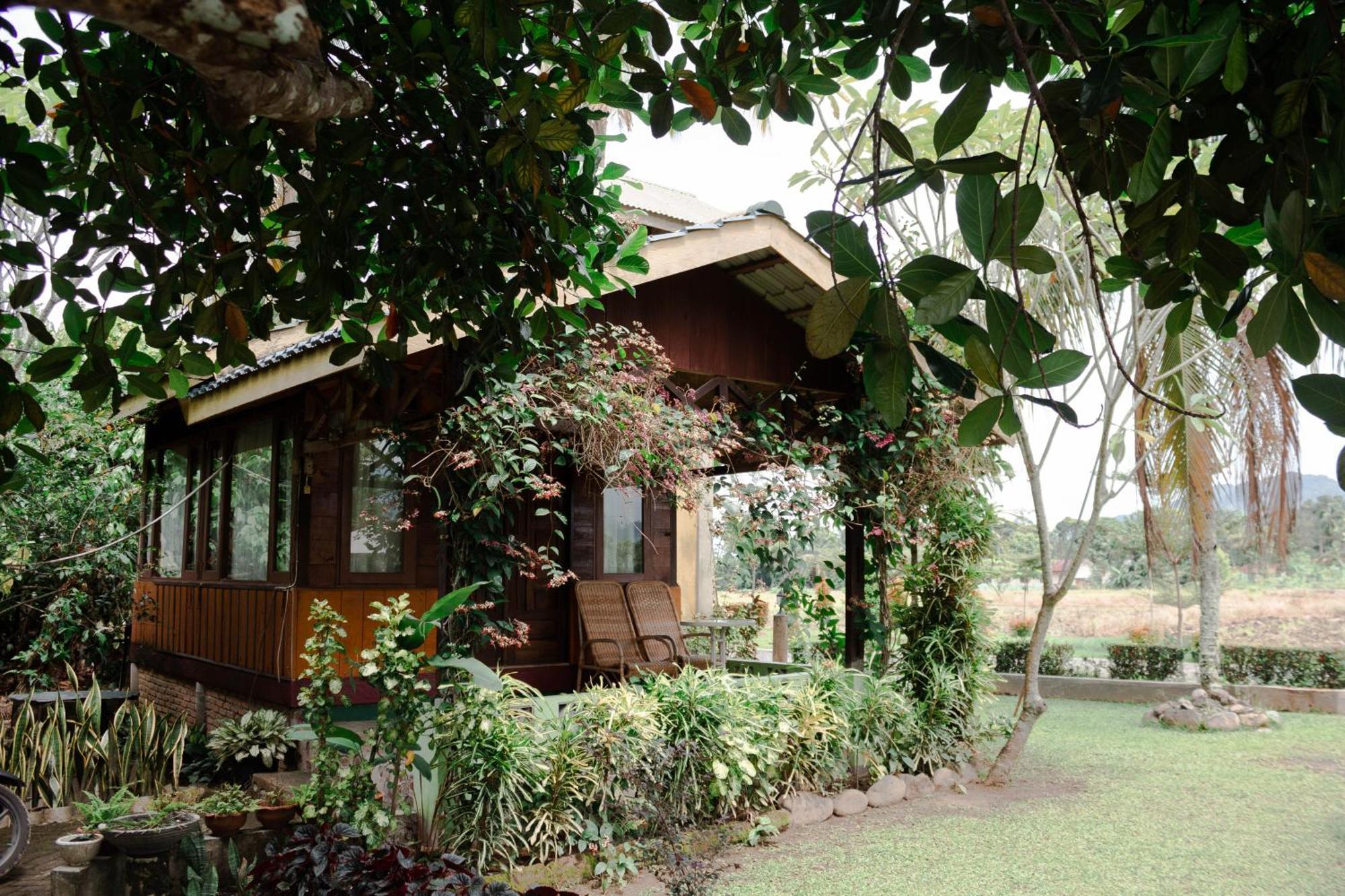 Ambow Homestay Jungle Trekking & Village Tour بوكيت لاوانج المظهر الخارجي الصورة
