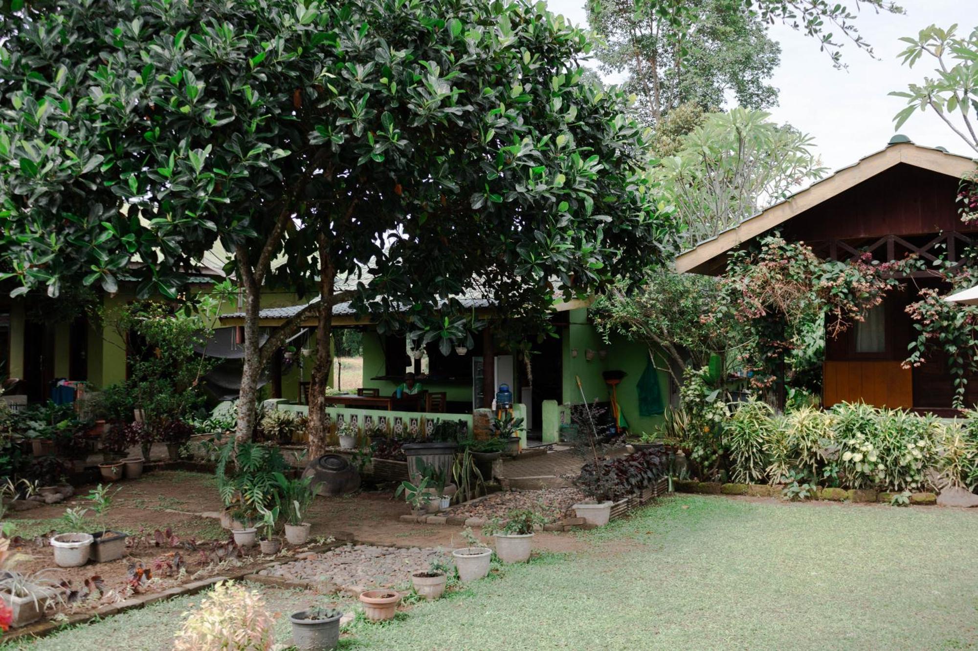 Ambow Homestay Jungle Trekking & Village Tour بوكيت لاوانج المظهر الخارجي الصورة