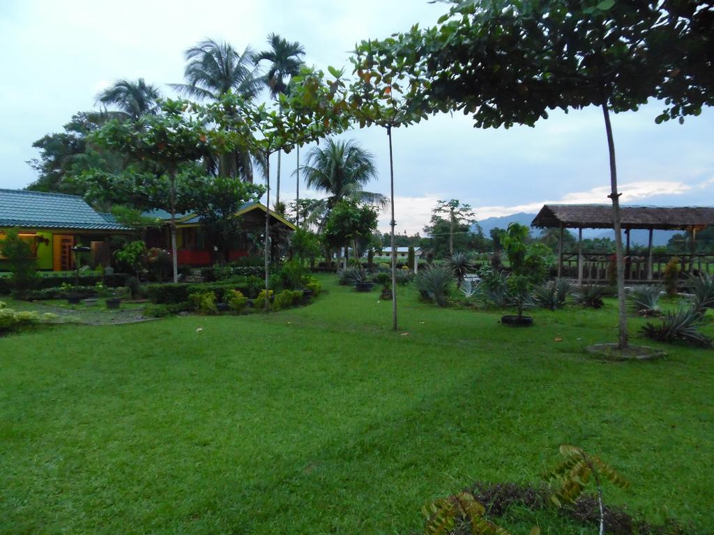 Ambow Homestay Jungle Trekking & Village Tour بوكيت لاوانج المظهر الخارجي الصورة