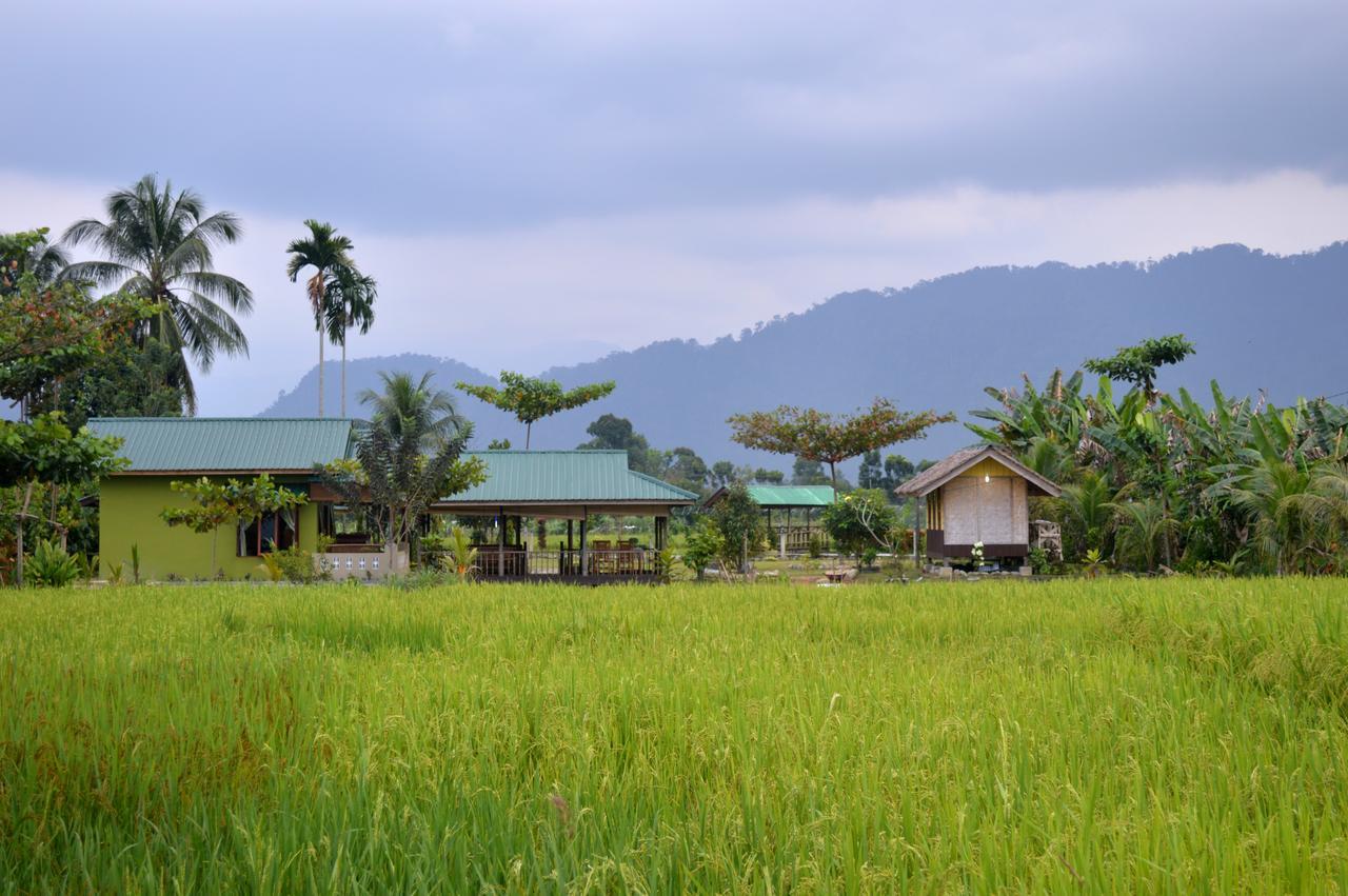 Ambow Homestay Jungle Trekking & Village Tour بوكيت لاوانج المظهر الخارجي الصورة