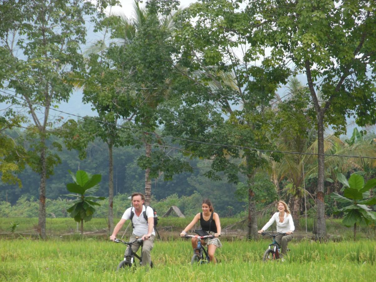 Ambow Homestay Jungle Trekking & Village Tour بوكيت لاوانج المظهر الخارجي الصورة