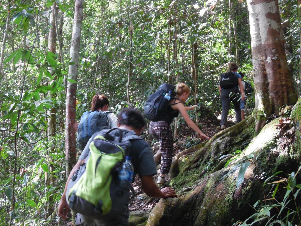 Ambow Homestay Jungle Trekking & Village Tour بوكيت لاوانج المظهر الخارجي الصورة