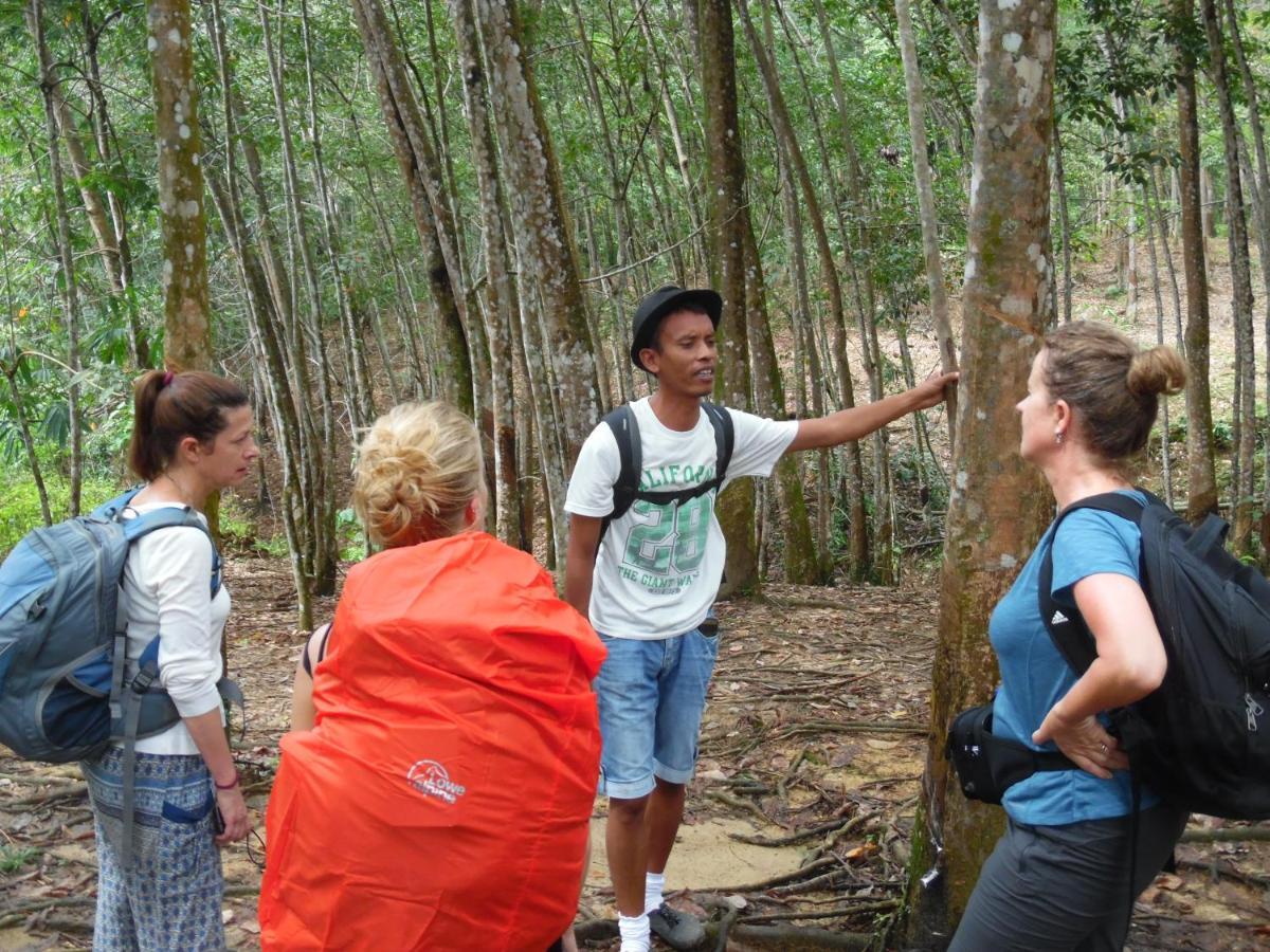 Ambow Homestay Jungle Trekking & Village Tour بوكيت لاوانج المظهر الخارجي الصورة