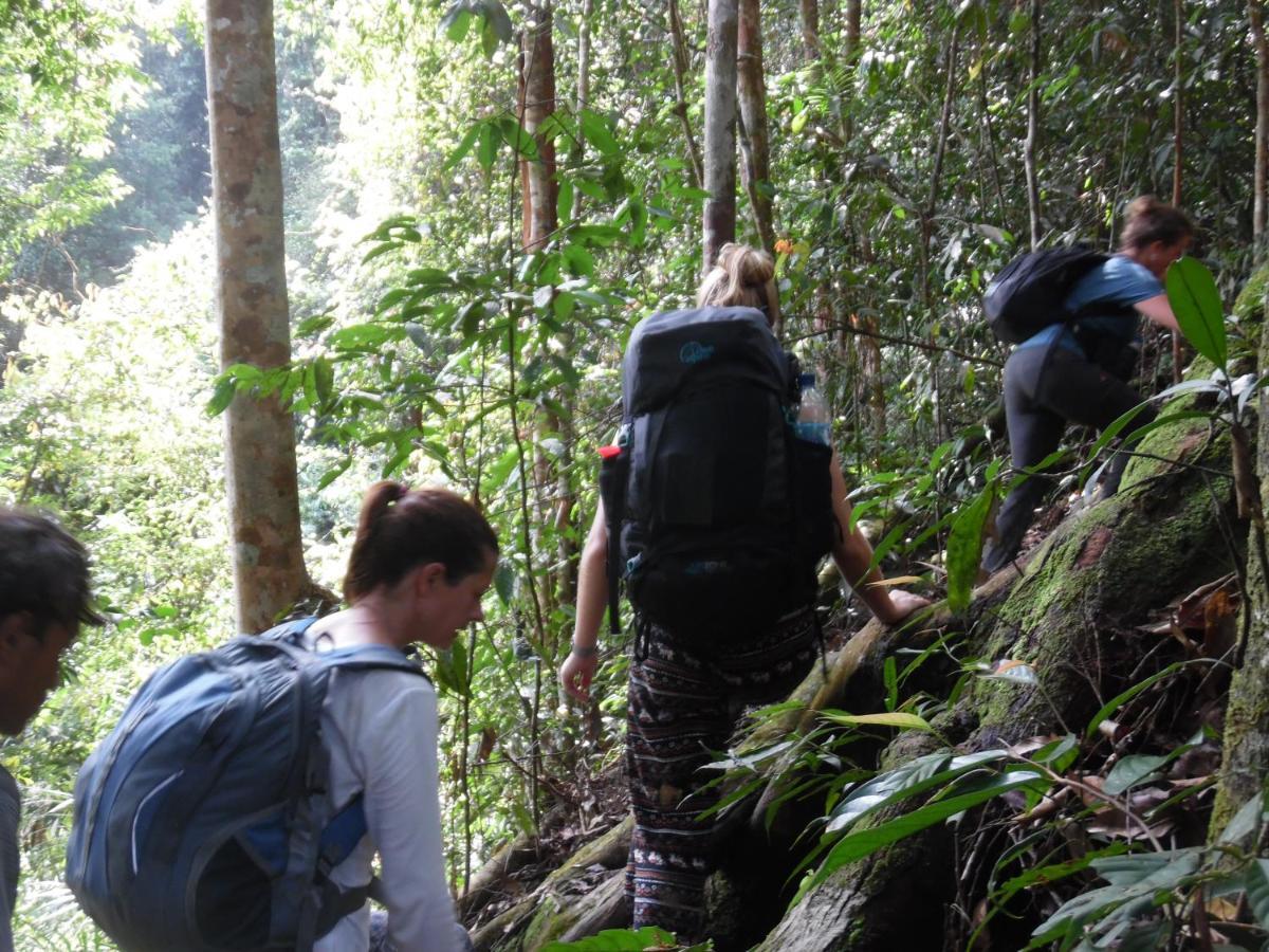 Ambow Homestay Jungle Trekking & Village Tour بوكيت لاوانج المظهر الخارجي الصورة
