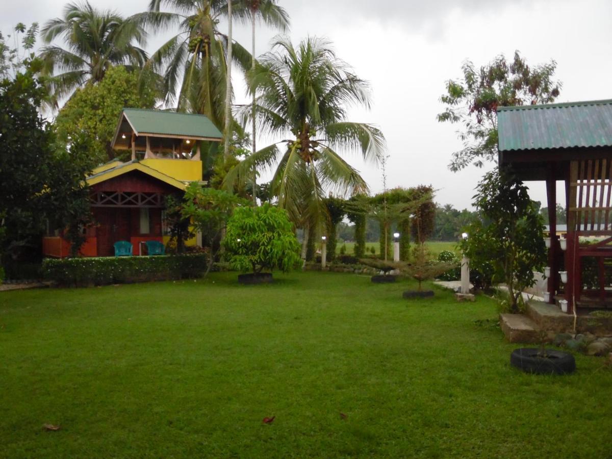 Ambow Homestay Jungle Trekking & Village Tour بوكيت لاوانج المظهر الخارجي الصورة
