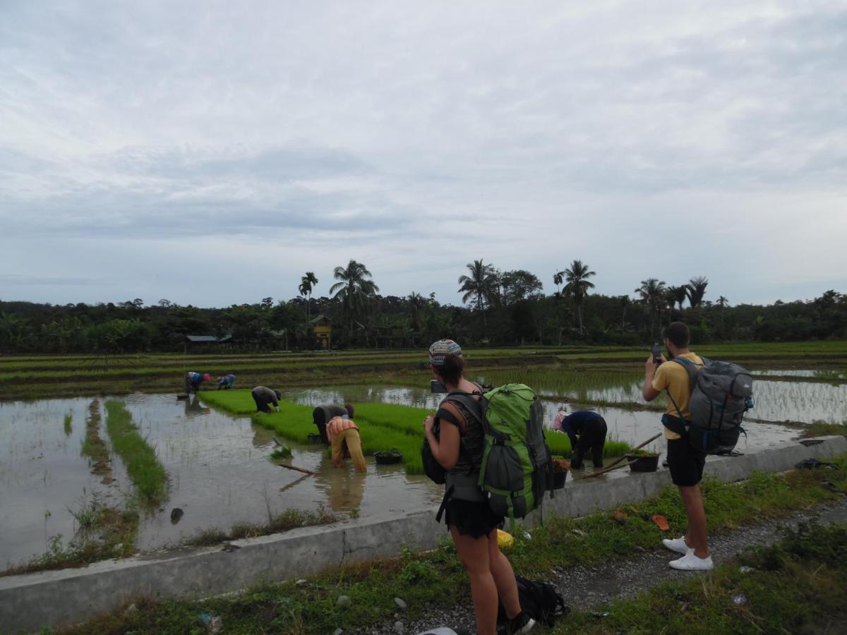 Ambow Homestay Jungle Trekking & Village Tour بوكيت لاوانج المظهر الخارجي الصورة